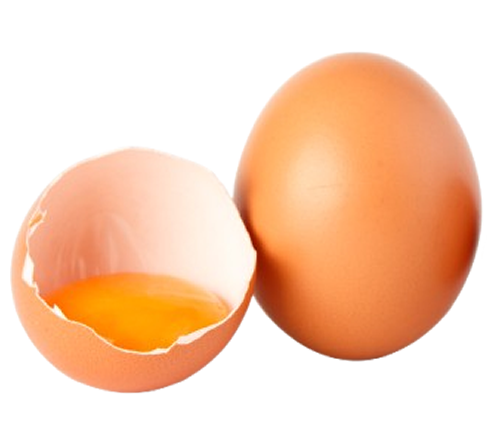 gezen tavuk yumurtası