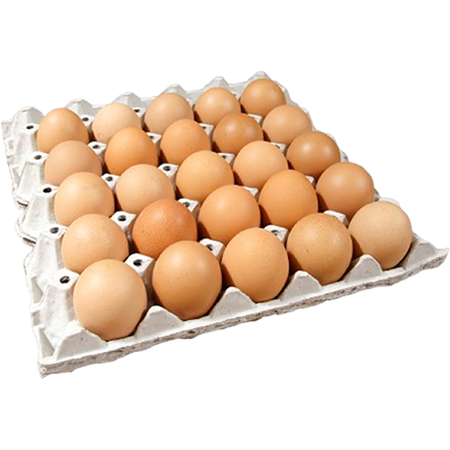 Organik Yumurta
